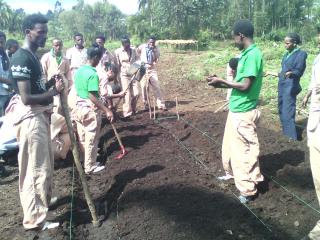 Practical Training Engagement 1