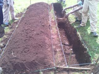 Practical Training Engagement 4